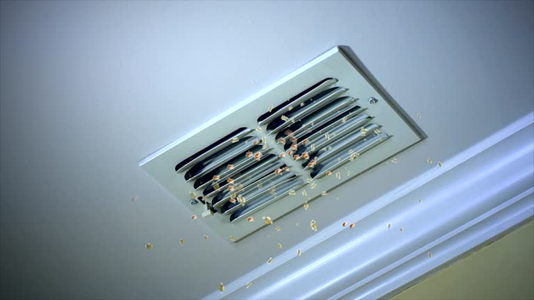 Best Ventilation Cleaning Services  in Evart, MI