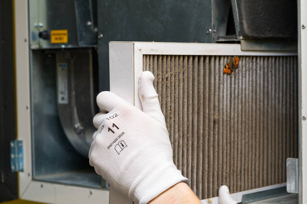 Best Air Duct Cleaning Near Me  in Evart, MI